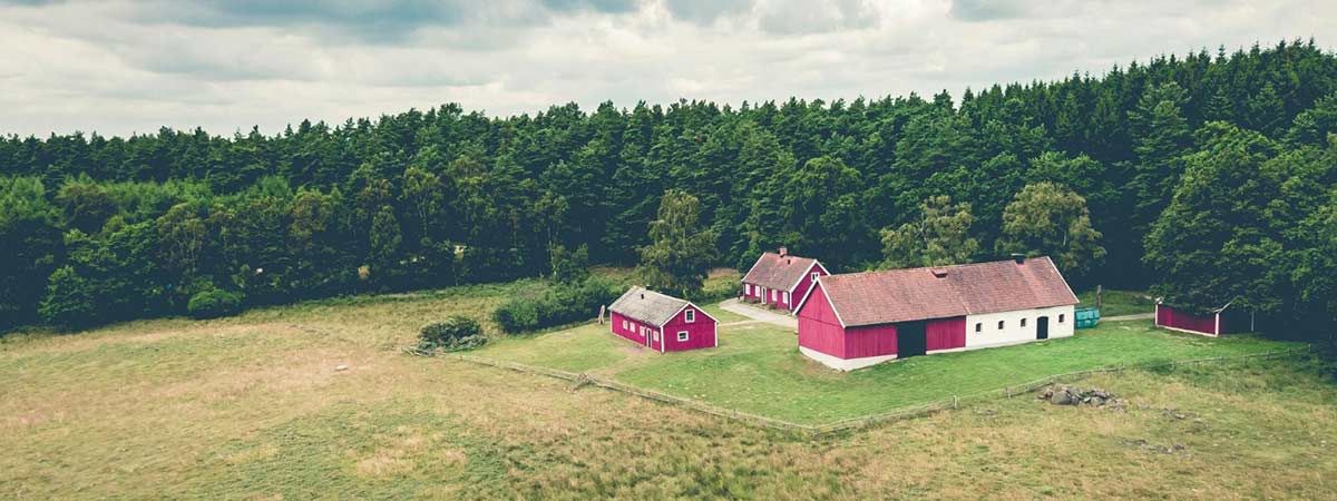 : Bauernhof oder Resthof