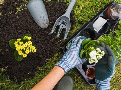 Vermieten: Regeln für die Gartennutzung bzw. Gartenmitbenutzung
