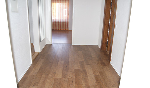 Apartment close to the center