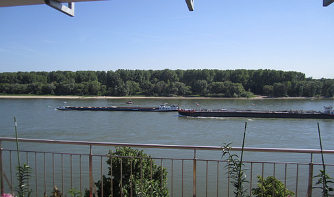 Count ships. All day long!