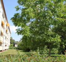 Centrally located, beautiful and bright 2-room apartment in the heart of Erlangen - Sieglitzhof