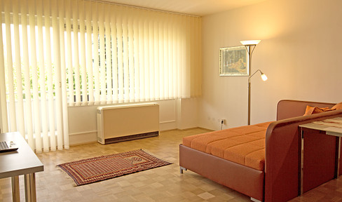 1-Zimmer-Apartment in Bad Godesberg