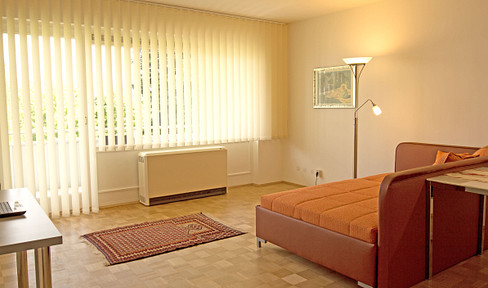 1-room apartment in Bad Godesberg
