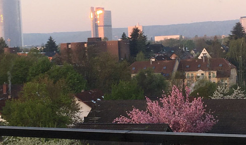 Above the rooftops of Bonn