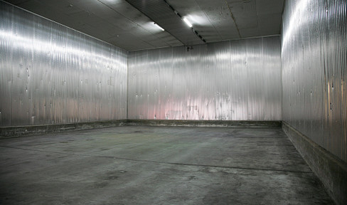 Warehouse for rent with 8 meter ceiling height in Bad Bramstedt
