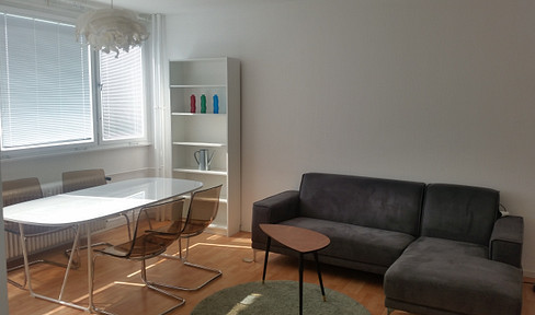 Neurenovierte,schöne, sonnige 2-Zi.-Wohnung, möbliert, in Bestlage nahe Victoriapark
