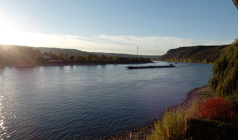 Pure Rhine idyll... - 3 room apartment