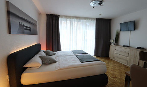 Furnished apartment in Mainz on the Rhine with terrace !