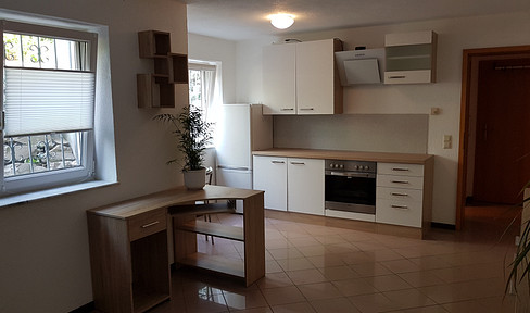 Exclusive furnished 1-room apartment from 01.04., Freiburg-Rieselfeld