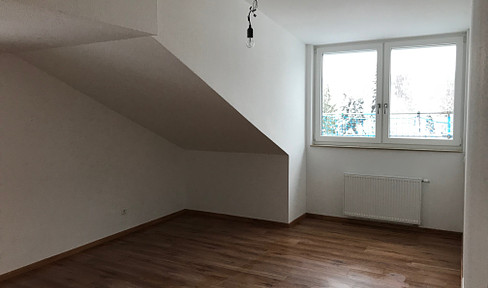 Fully-fledged 3-room attic apartment