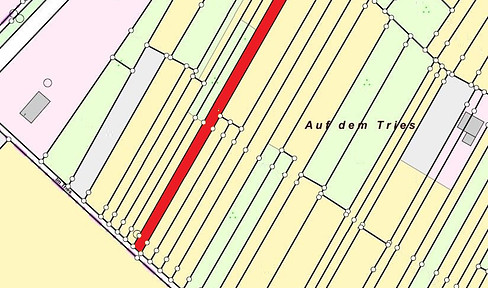 Eine schöne landwirtschaftliche Fläche - Auf dem Tries in Kronberg