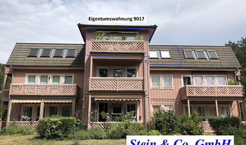 neuer Eigentümer für schöne Dachgeschosswohnung mit Balkon in ruhiger Waldrandlage gesucht