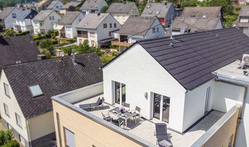 Great fully furnished penthouse apartment with roof terraces in Trier-Zewen