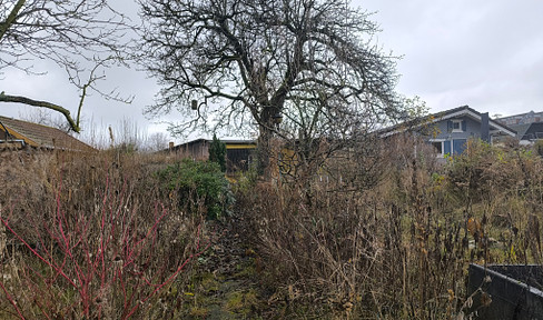 Quiet allotment garden idyll on Spandauer Damm