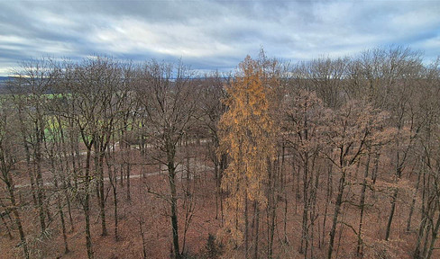 Stuttgart-Süd, Asemwald: Solide 3,5 Zi.-Wohnung mit Aussicht