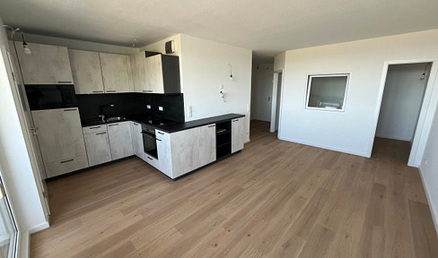 Fully renovated in the vacation park with a view over the salt marshes