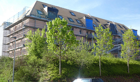 Fully renovated apartment with modern heating technology and upscale furnishings Trier-Feyen