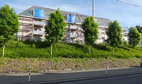 Fully renovated apartment with modern heating technology and upscale furnishings Trier-Feyen