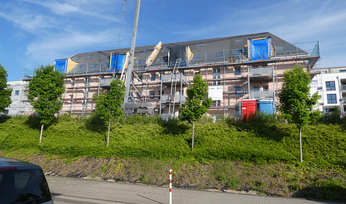 Hohe Heizkosten ?- Nein Danke ! Vollständig sanierte Wohnungen mit moderner Heiztechnik Trier-Feyen