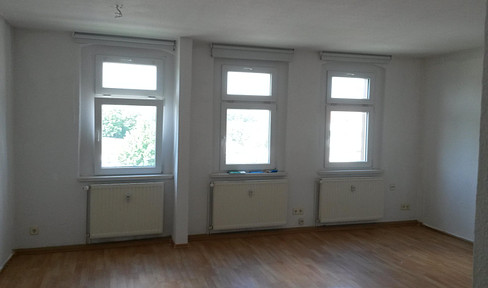 Inexpensive, modernized 4-room apartment in Kretzschau