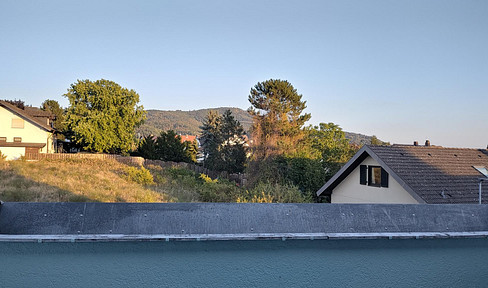 3-room apartment with kitchen, bathroom, and utility room in Bickenbach, Bergstraße.