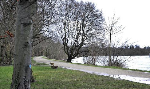 Lindenhof, Waldparknähe: 1 Zimmer Küche Bad Balkon