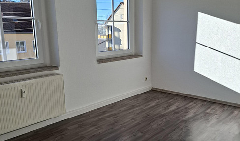 3-Raum-Wohnung, mit Garage, große Küche, Bad mit Fenster, Wanne und Dusche / ALGI + BG möglich