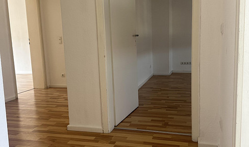 2 room apartment - near the Rhine promenade -