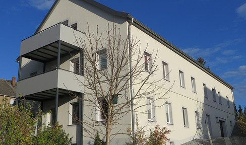 4-room maisonette in Frankenthal (Saxony) with private garden and access