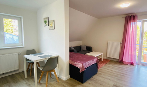 Neuwertiges 1-Zimmmer Apartment nahe Flughafen möbliert