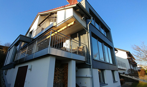 Ulm-West (Söflingen district), 2.5-room apartment, quiet location, furnished and equipped.