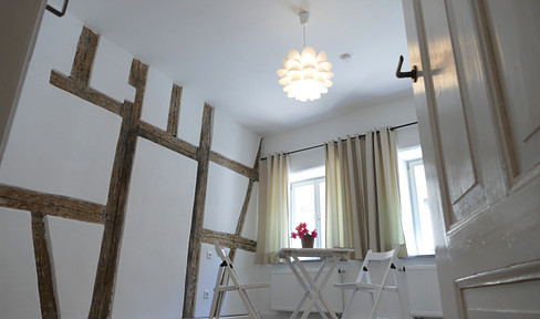 Renovated 1 1/2 room apartment in baroque gardener's house, 29 sqm, city center location