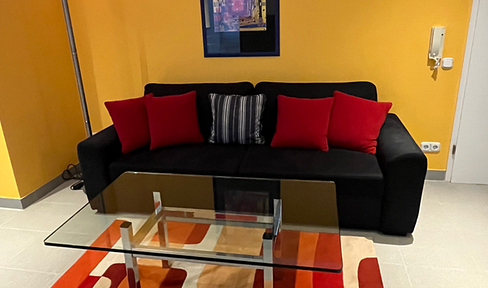 Loft, 49 m²,  großer Wohnraum (34 m²),  voll möbliert,  für eine Person