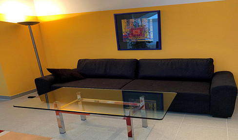 DG-Studio, ca. 50 m²,  großer Wohnraum (34 m²),  möbliert,  für 1 Person