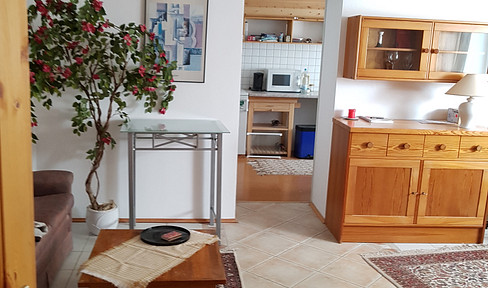 Cozy semi-basement apartment in a central, quiet location