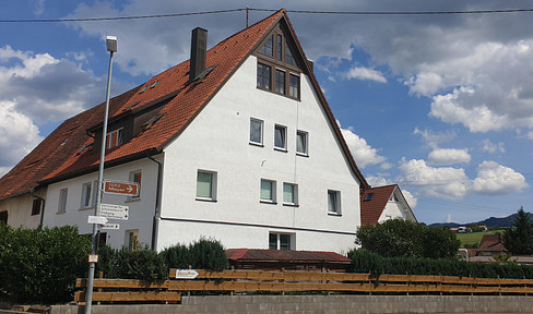 Extensively renovated duplex apartment