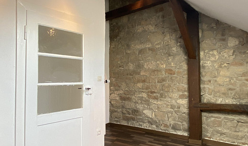 Cozy 3-room attic apartment in the old town of Alzey