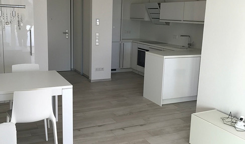 High-quality, furnished 2-room-apartment m. south-facing balcony, 2nd floor to single person, non-smokers
