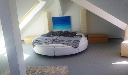 Exclusively furnished attic apartment below Hambach Castle