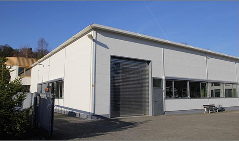 Multifunctional commercial/warehouse/assembly hall with offices