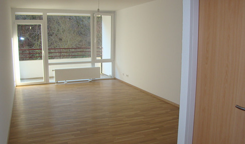 Sonnies 1 room apartment