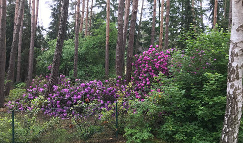 Especially beautiful building plot - near Berkhof/Lindwedel