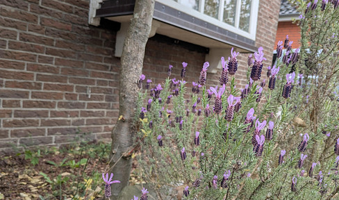 Rotklinker trifft Landhaus; DHH mit Wohnungsgrundbuch