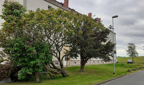 Viel Platz!! 6R-Wohnung in der Nähe von Döbeln 120 qm, 2 Tageslicht-Bäder Einbauküche Stellplatz