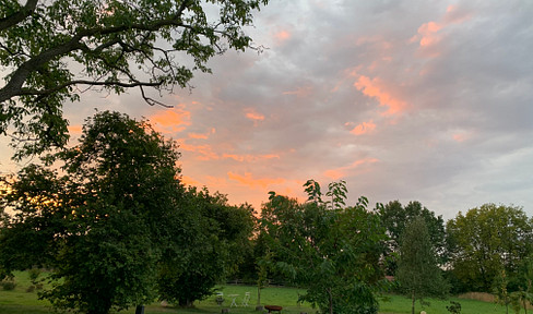 NICHT AMELSBÜREN; MÜNSTER !! Wohnen im Grünen und doch zentral- 190 qm 1.OG 3 Schlafzimmer Balkon