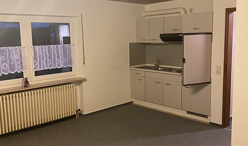 Helle Einzimmerwohnung mit Einbauküche in Würzburg/ Lengfeld