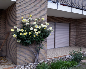 Erdgeschosswohnung mit Garten