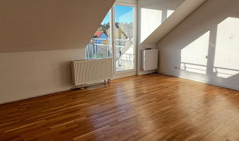 Schöne 2-Zimmer-DG mit EBK, Dachterrasse und Stellplatz