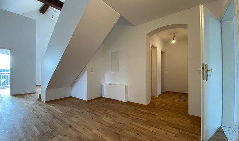 Beautifully renovated 5-room attic apartment