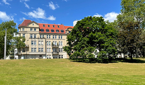 Möblierte All-Inclusive Altbauwohnung Oststadt - fantastischer Blick über den Luisenpark